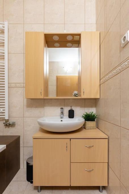 S22 Apartment Budapest Kültér fotó